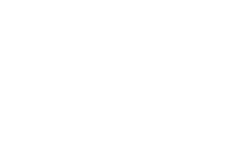 Logo - Zauberkünstler Florian Klein